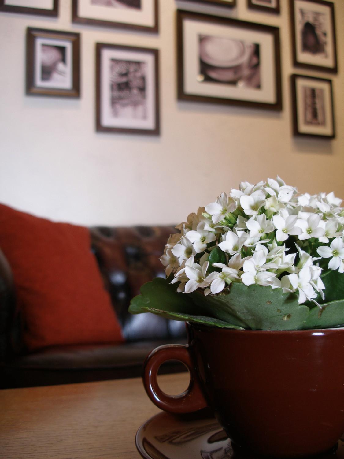 Dalby Hotel Haslev ภายนอก รูปภาพ